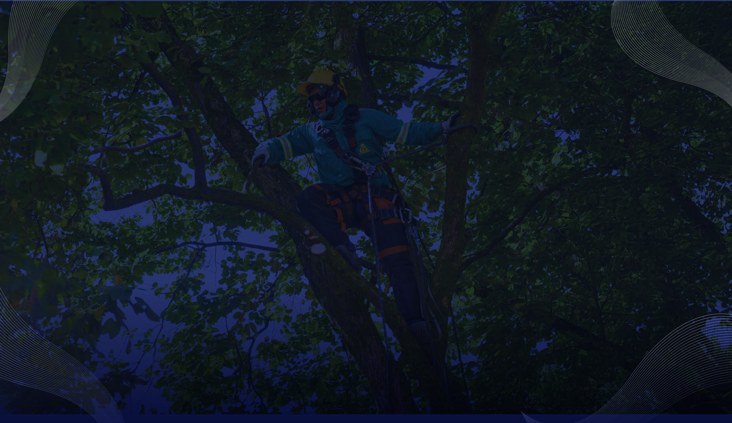 thumbnails-2026_poda-de-arboles-copia